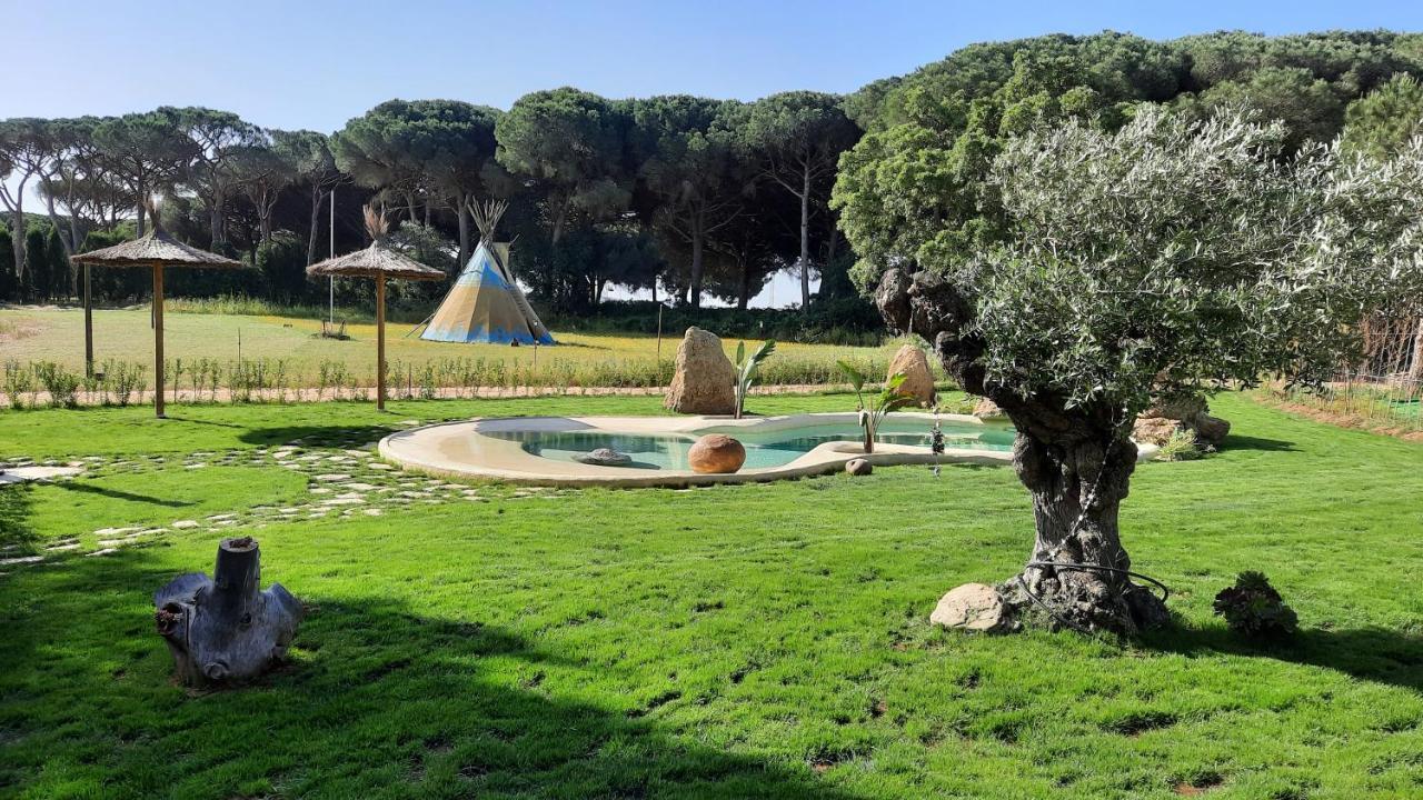 El Oasis De Anayansi Cabanas Con Encanto 베예데라프론테라 외부 사진