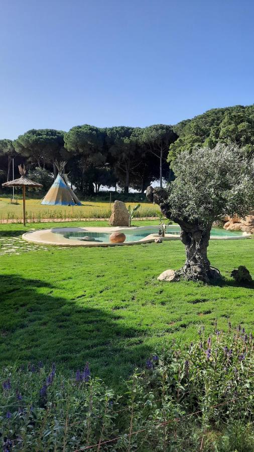 El Oasis De Anayansi Cabanas Con Encanto 베예데라프론테라 외부 사진