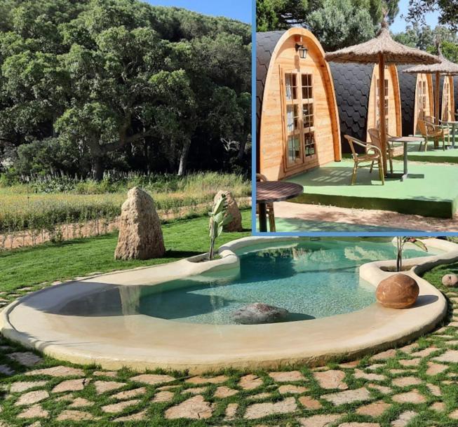 El Oasis De Anayansi Cabanas Con Encanto 베예데라프론테라 외부 사진